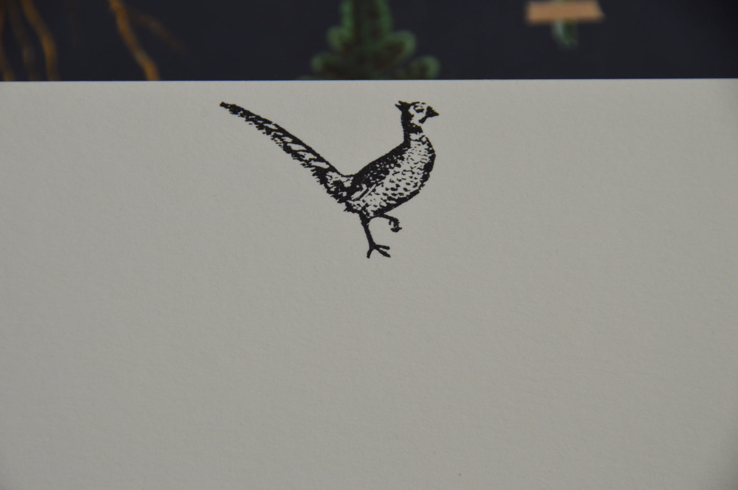 Philly Pheasant Notecards