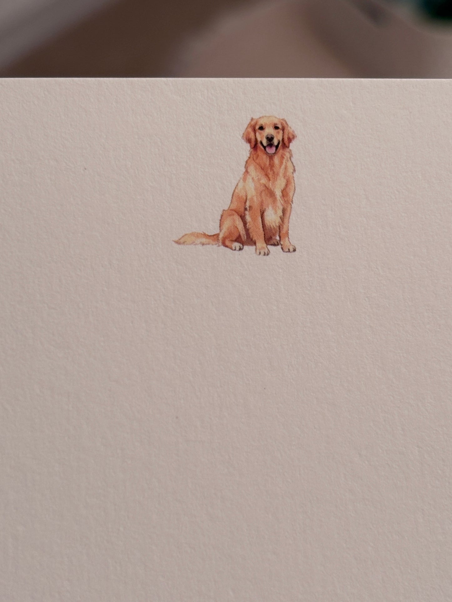 Labrador/ Golden Retriever Notecards (pack of 7)