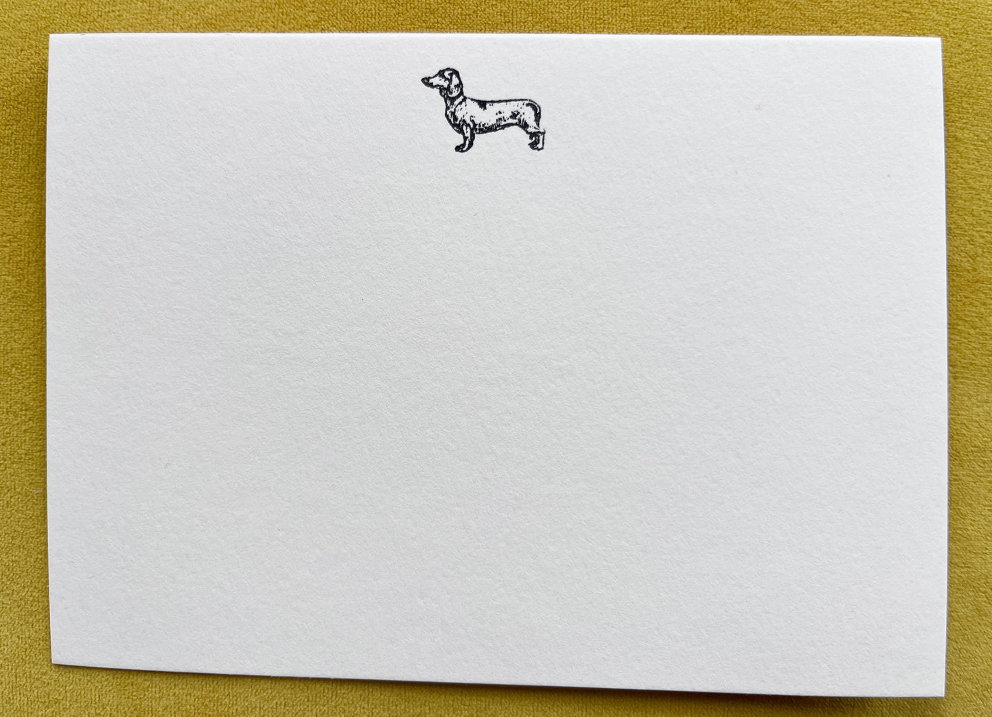 ‘Fig The Daxie’ Dachshund Notecards  (pack of 7)