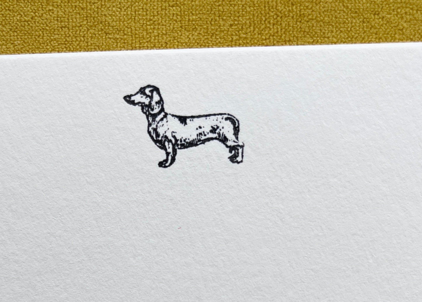 ‘Fig The Daxie’ Dachshund Notecards  (pack of 7)