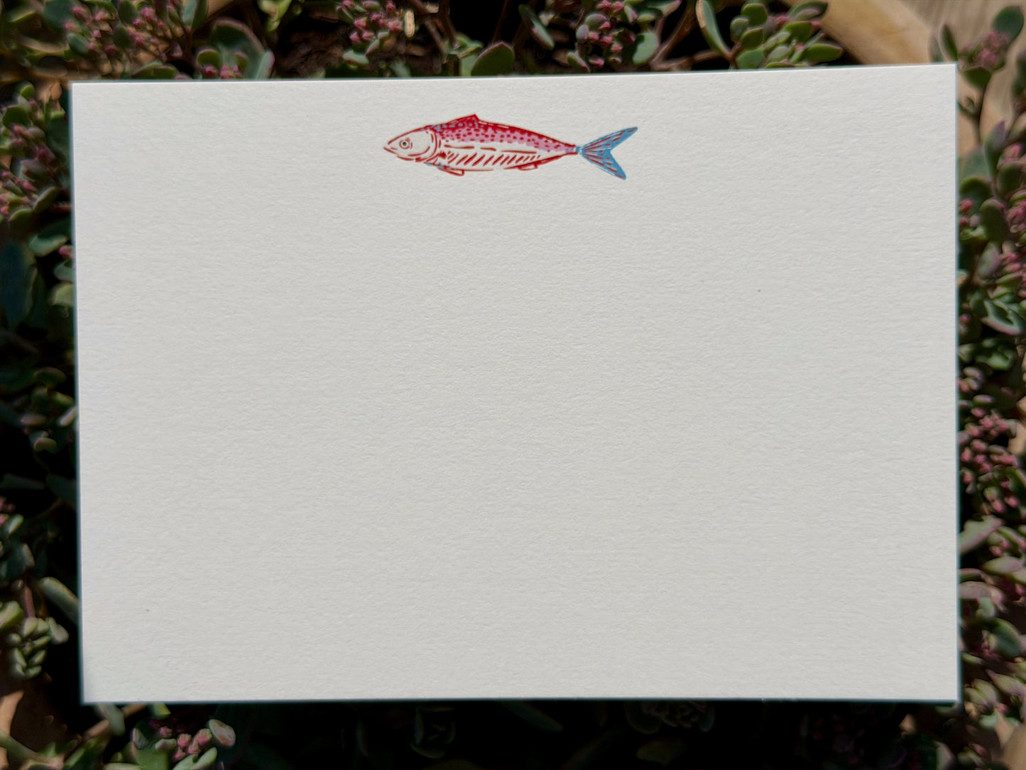 Sidney Sardine Notecards (pack of 7) (Copy)