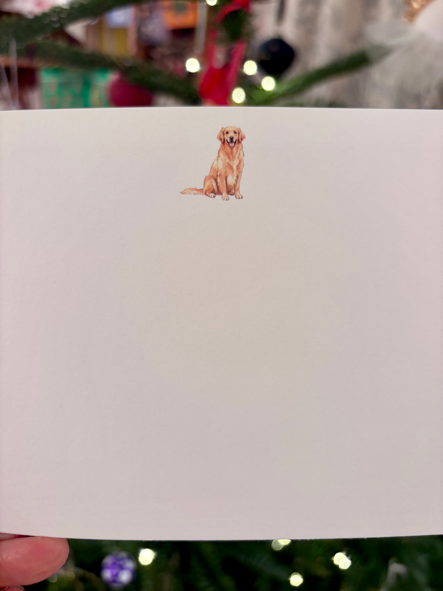 Labrador/ Golden Retriever Notecards (pack of 7)